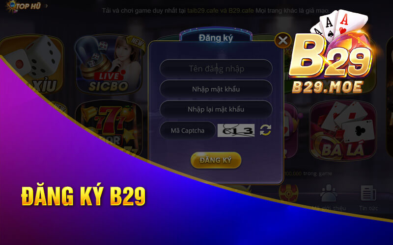 Đăng ký B29